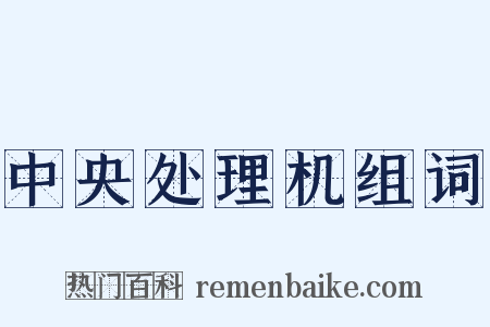 中央处理机组词是什么意思的图片